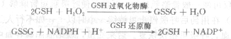 三、葡萄糖－6－磷酸脱氢酶缺乏症