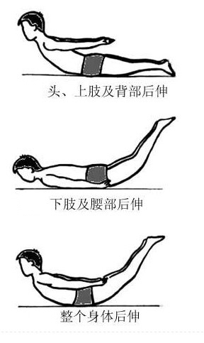 强健椎间盘 常做小燕飞